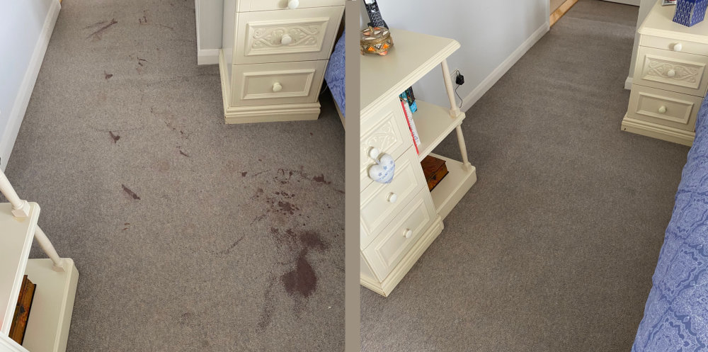 blood_removal_carpet