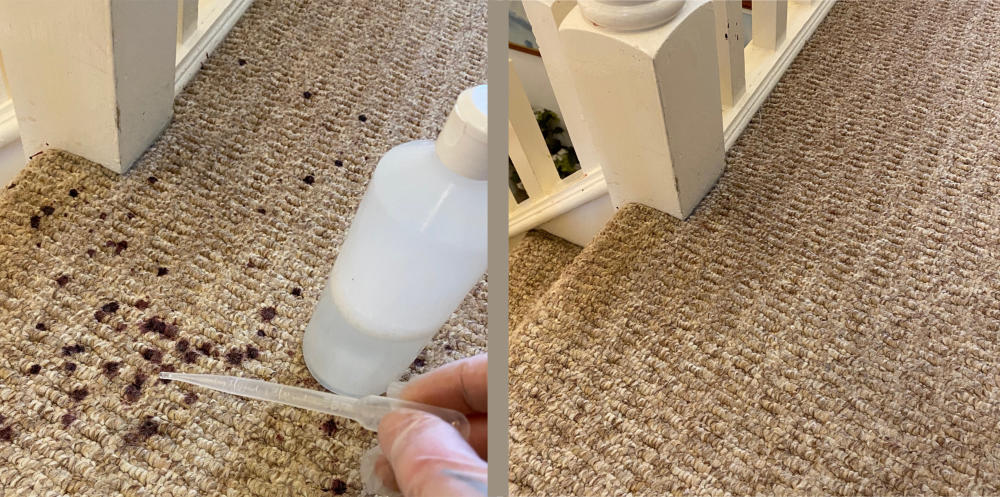 Carpet Stain Removal